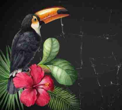 MINT by Michelle decoupage paper - Toucan