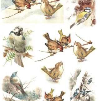 ITD Decoupage Rice paper Vogels R0598 - A4