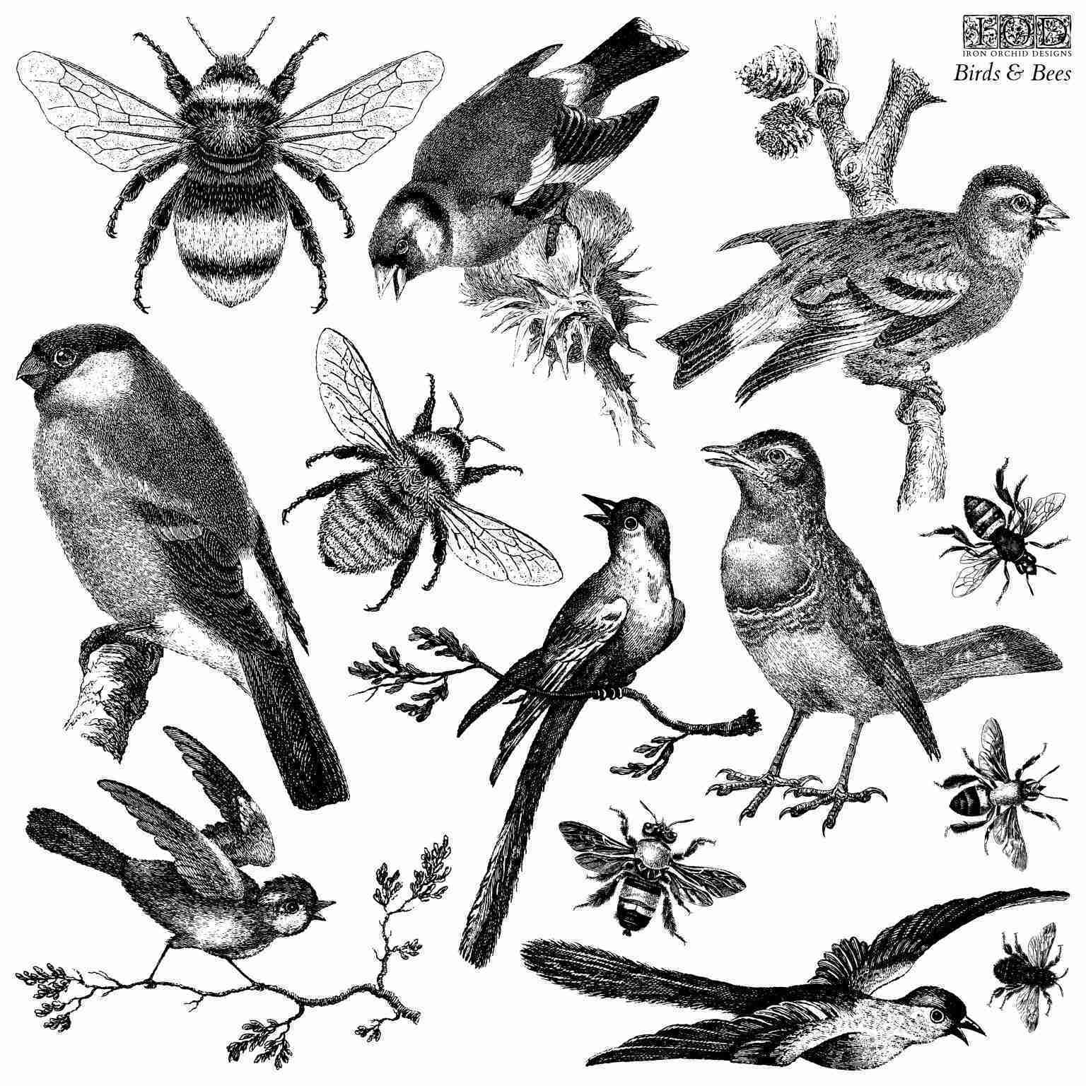 Iron Orchid Designs Stamp Birds Bees Xxl Stempel Bij Cora iron-orchid-designs-stamp-birds-bees-xxl-stempel-bij-cora