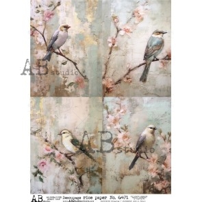 AB Studio decoupage rice paper A4 ID-6471 vogels