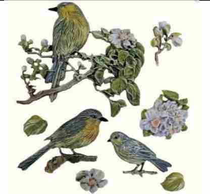 LaBlanche mal vogel