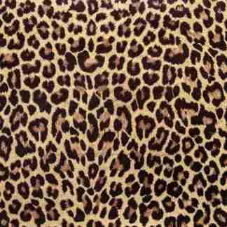 GRYS Textured Decoupage Paper- Leopard print A1