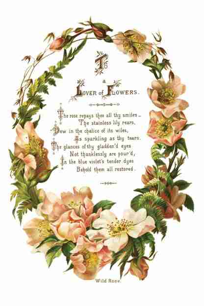 Copy of IOD TRA LOV Lover of Flowers page 1 small