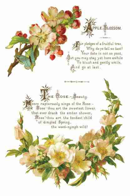 Copy of IOD TRA LOV Lover of Flowers page 3 small