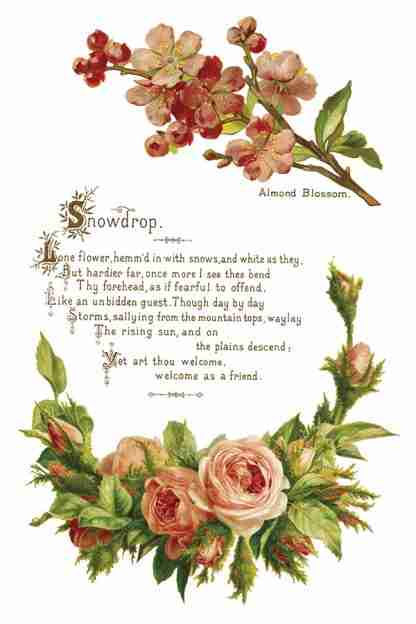 Copy of IOD TRA LOV Lover of Flowers page 4 small