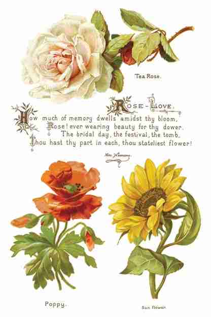 Copy of IOD TRA LOV Lover of Flowers page 5 small