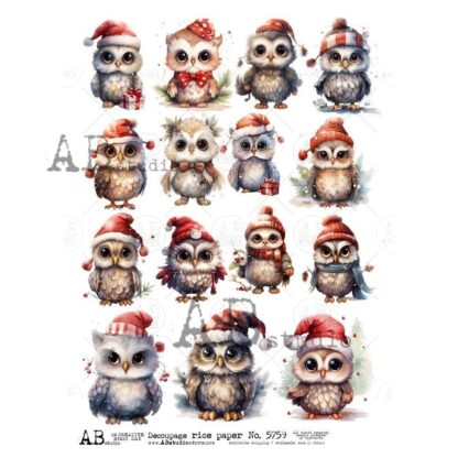 AB Studio rice paper A4 ID-5759 winter uiltjes