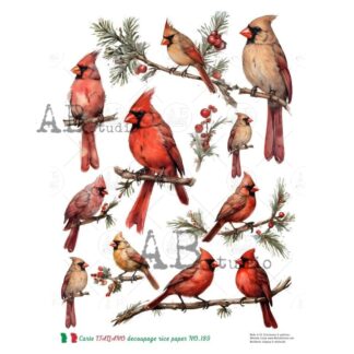 ABstudio rice paper A4 ID-5749 vogels