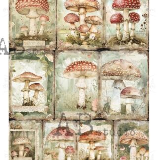 Carte Italiano rice paper A4 - ID141 paddestoelen