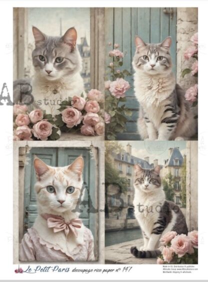 Le Petit Paris decoupage Papier A4 no.147