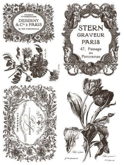 iron orchid designs paint inlay Floriography - Afbeelding 5