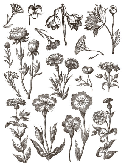 iron orchid designs paint inlay Floriography - Afbeelding 6