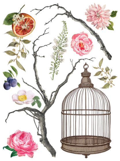 Iron Orchid Designs Transfer Menagerie - Afbeelding 7