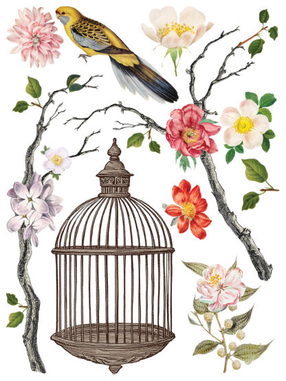 Iron Orchid Designs Transfer Menagerie - Afbeelding 9