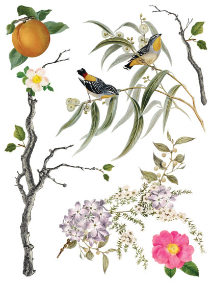 Iron Orchid Designs Transfer Menagerie - Afbeelding 10