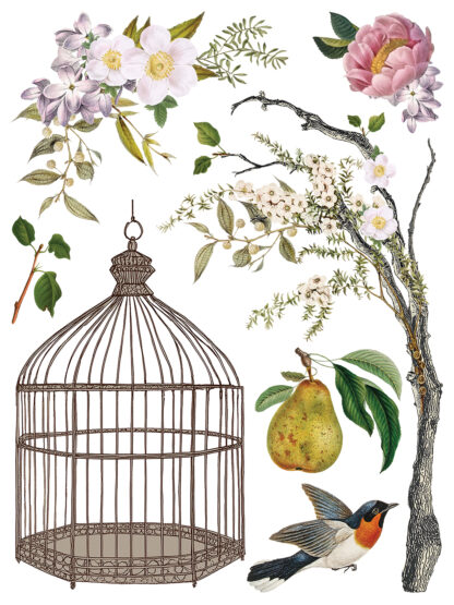 Iron Orchid Designs Transfer Menagerie - Afbeelding 2