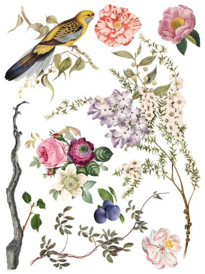 Iron Orchid Designs Transfer Menagerie - Afbeelding 3