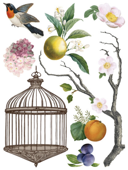 Iron Orchid Designs Transfer Menagerie - Afbeelding 5