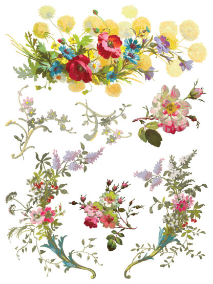 Iron Orchid Designs Transfer Saint Germain - Afbeelding 5