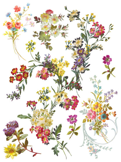 Iron Orchid Designs Transfer Saint Germain - Afbeelding 6