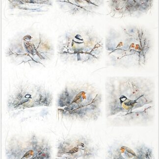 ITD Decoupage Rice paper vogels R2491 - A4