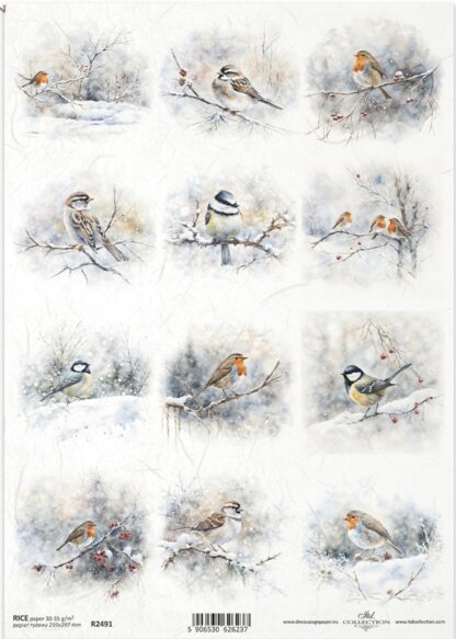 ITD Decoupage Rice paper vogels R2491 - A4