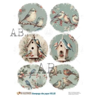 55 Cartoons decoupage A4 rice paper No. 22 vogels