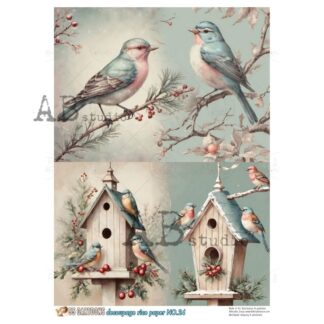 55 Cartoons decoupage A4 rice paper No. 24 vogels