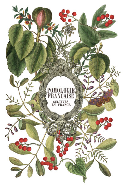 Iron orchid designs Christmas transfer Clementine( 8 vellen) limited edition - Afbeelding 2
