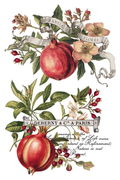 Iron orchid designs Christmas transfer Clementine( 8 vellen) limited edition - Afbeelding 3