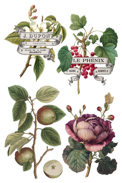 Iron orchid designs Christmas transfer Clementine( 8 vellen) limited edition - Afbeelding 8