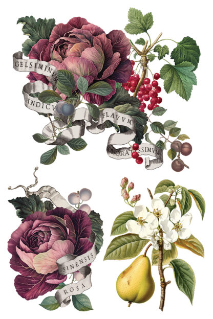 Iron orchid designs Christmas transfer Clementine( 8 vellen) limited edition - Afbeelding 9