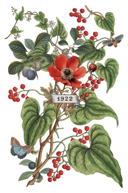 Iron orchid designs Christmas transfer Clementine( 8 vellen) limited edition - Afbeelding 5