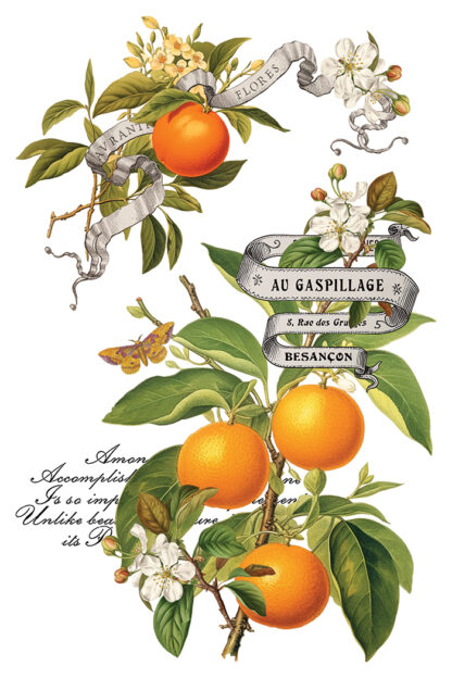Iron orchid designs Christmas transfer Clementine( 8 vellen) limited edition - Afbeelding 6