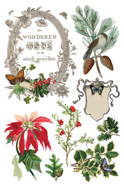 IOD kerst transfer blok Winter Botanist ( 8 vellen) limited edition - Afbeelding 2