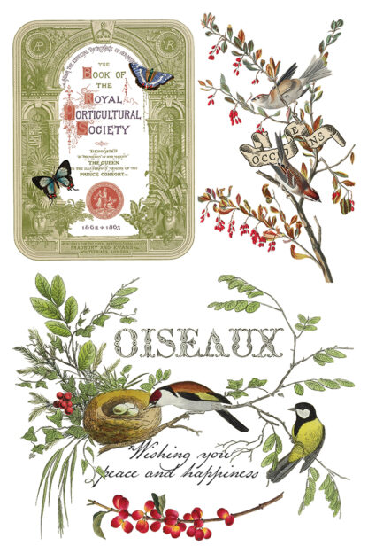 IOD kerst transfer blok Winter Botanist ( 8 vellen) limited edition - Afbeelding 3