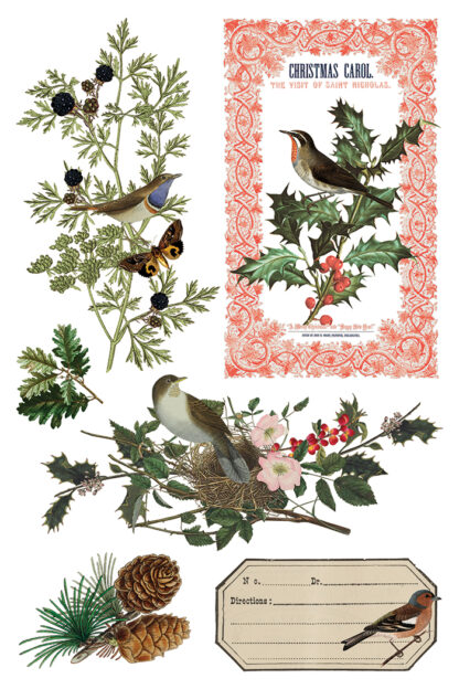 IOD kerst transfer blok Winter Botanist ( 8 vellen) limited edition - Afbeelding 11