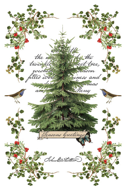 IOD kerst transfer blok Winter Botanist ( 8 vellen) limited edition - Afbeelding 4