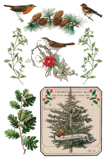 IOD kerst transfer blok Winter Botanist ( 8 vellen) limited edition - Afbeelding 5