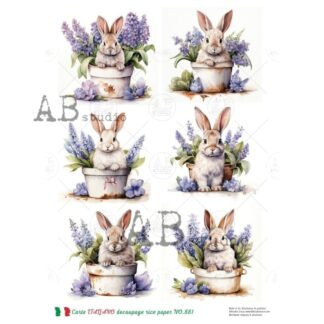 Carte Italiano paas decoupage rice paper no.881