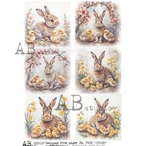 AB Studio paas rice paper A4 ID-7472