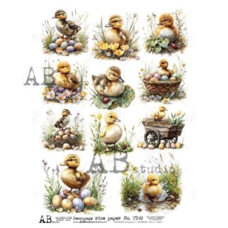 AB Studio eendjes rice paper A4 ID-7592