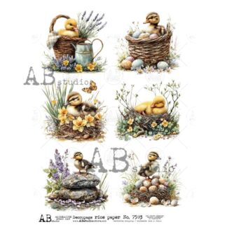 AB Studio eendjes rice paper A4 ID-7593