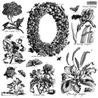 Iron orchid designs stempelset Nature’s Etchings